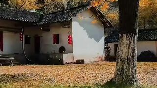Beautyful Autumn color