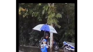 Paati bisa
