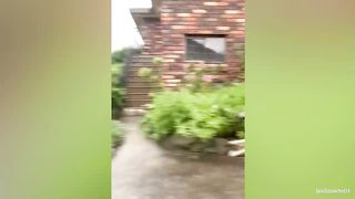 I Think These Dogs Was a Comedian in Past Life