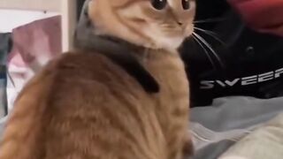 Who did me