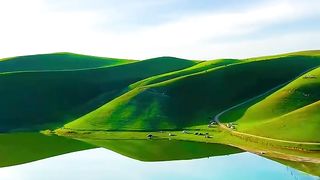 Nature 54