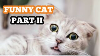 Funny Animal Part 2