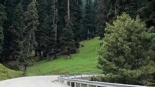 Adventure 4