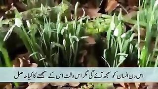 ALLAH KAY AZAB SAY BACHO PAKISTANI HAKMO.