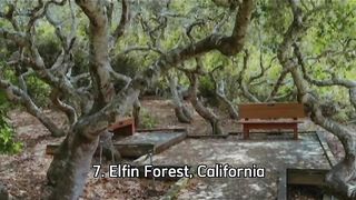 7 HUTAN PALING ANGKER YANG ADA DI DUNIA #short #faktamenarik #viral #trend