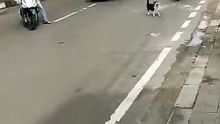 Smart Cat 2