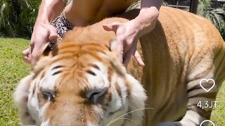 human and animal friendship