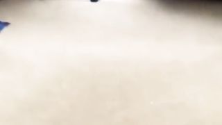 Cats are shocked funny to make laugh????????????????????????