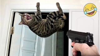 Funny Cats and Dogs ???????? Funniest Animal Videos 2023 #2