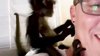 Adorable baby monkey melts hearts whether he sits, runs, jumps.