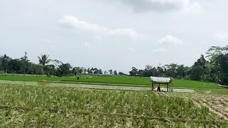 Suasana desaku????