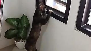 curious cat :-) :-)