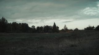 THE BEEHIVE - Official Teaser (2023)