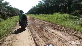 Perjalanan di tengah hutan Kalimantan