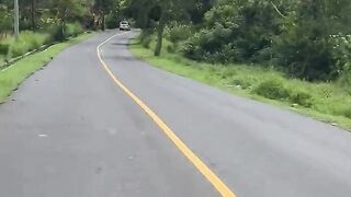 Kintamani 2