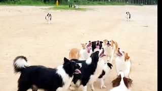 Let us play