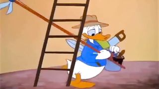 Donald and Duck best to see forever.