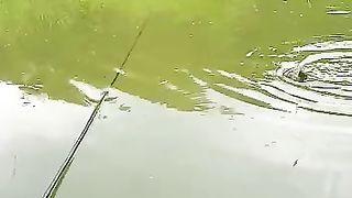Mancing 2