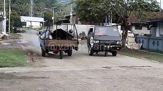 ngakak kocak