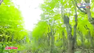 SINDHI JO TREE SUNJHARO FOR HEALTH.