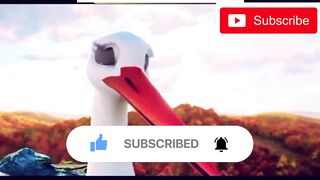 birds cartoon video | cartoon video | maheen fatima