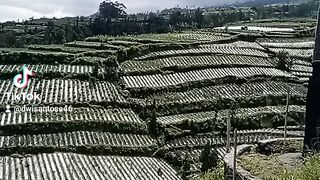 Wisata negeri khayangan Magelang