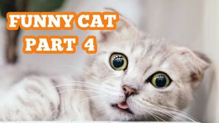 Funny Animal part 4