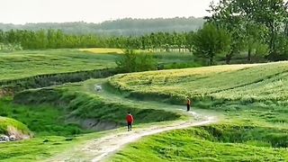 green of filed