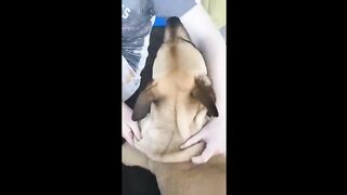 UNUSUAL MEMES COMPILATION 3