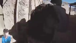 Movies 16