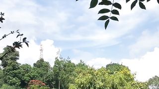 Short vacation