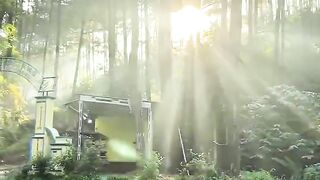 Serenity in nature
