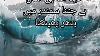 Mola Imam Ali A.S Quotes 6