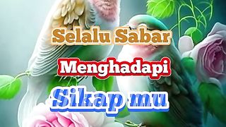 romantic 2