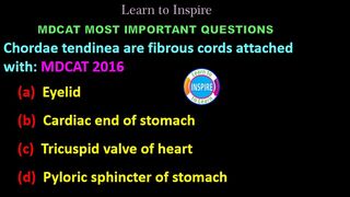 Chordae tendinea are fibrous cords attached with::#mdcatbiology #ETEABiology #circulation #transport