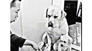 Mother is mother 3