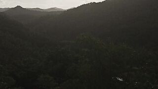 Views 3