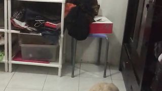 my dog birth