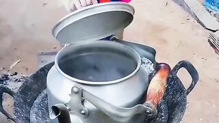 Monyet lagi masak air