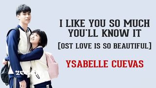 I Like You So Much, You'll Know It - Ysabelle Cuevas (Lyrics video and sub indonesian)
