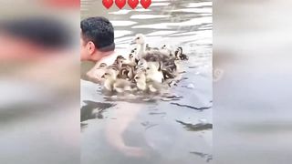 New Funny Videos 2023 ???? Cutest Cats and Dogs ???????? Part 15