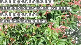 KATA SENJA SEMESTA-7