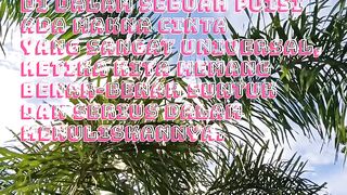 KATA SENJA SEMESTA-8