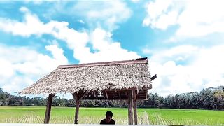 beautiful atmosphere in the rice fields