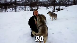 Animals Reunited With Owners After YEARS !