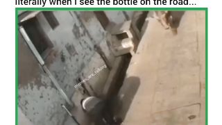 Funny shorts 3