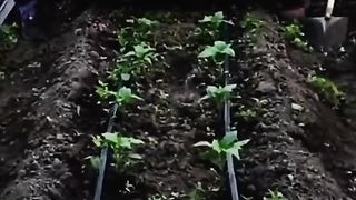 it takes sharp agility and instinct to do this job