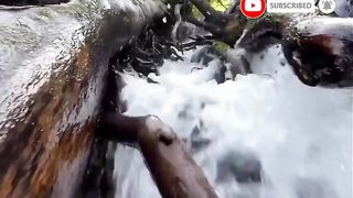 amazin music with nature view