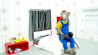 Vidéo 31