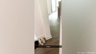 Best funny animals video